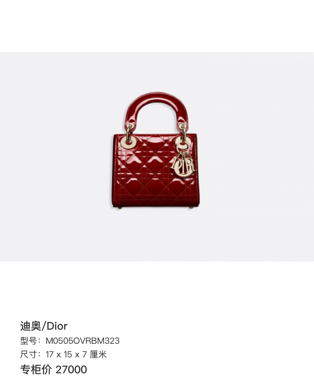 Dior 17 x 15 x 7 centimeters M0505OVRBM323