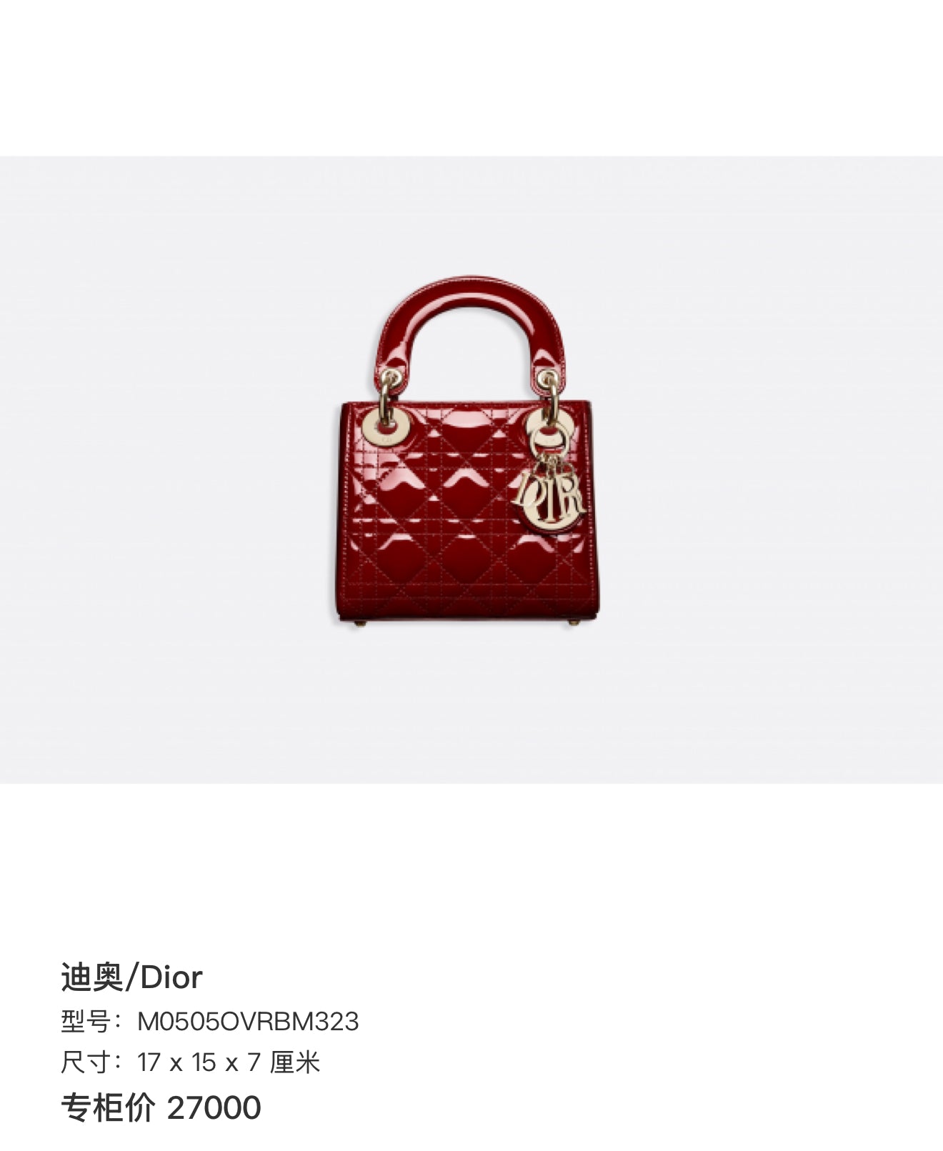 Dior 17 x 15 x 7 centimeters M0505OVRBM323