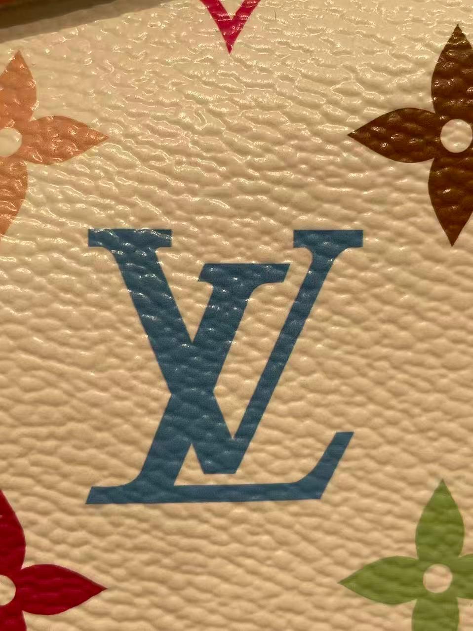 Louis Vuitton Backpack