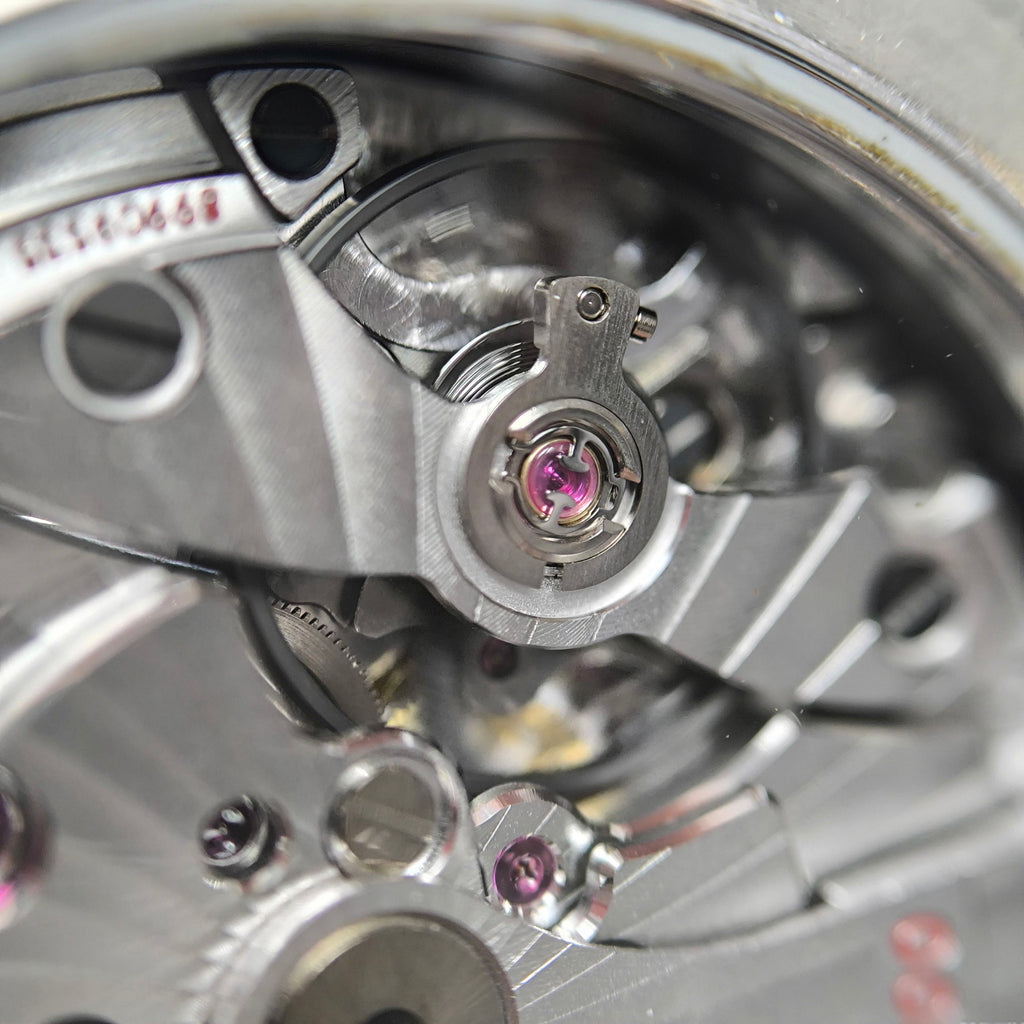 Omega Seahorse Series 41 220.10.41.21.03.001