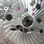 Omega Seahorse Series 41 220.10.41.21.03.001