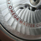 Omega Seahorse Series 41 220.10.41.21.03.001