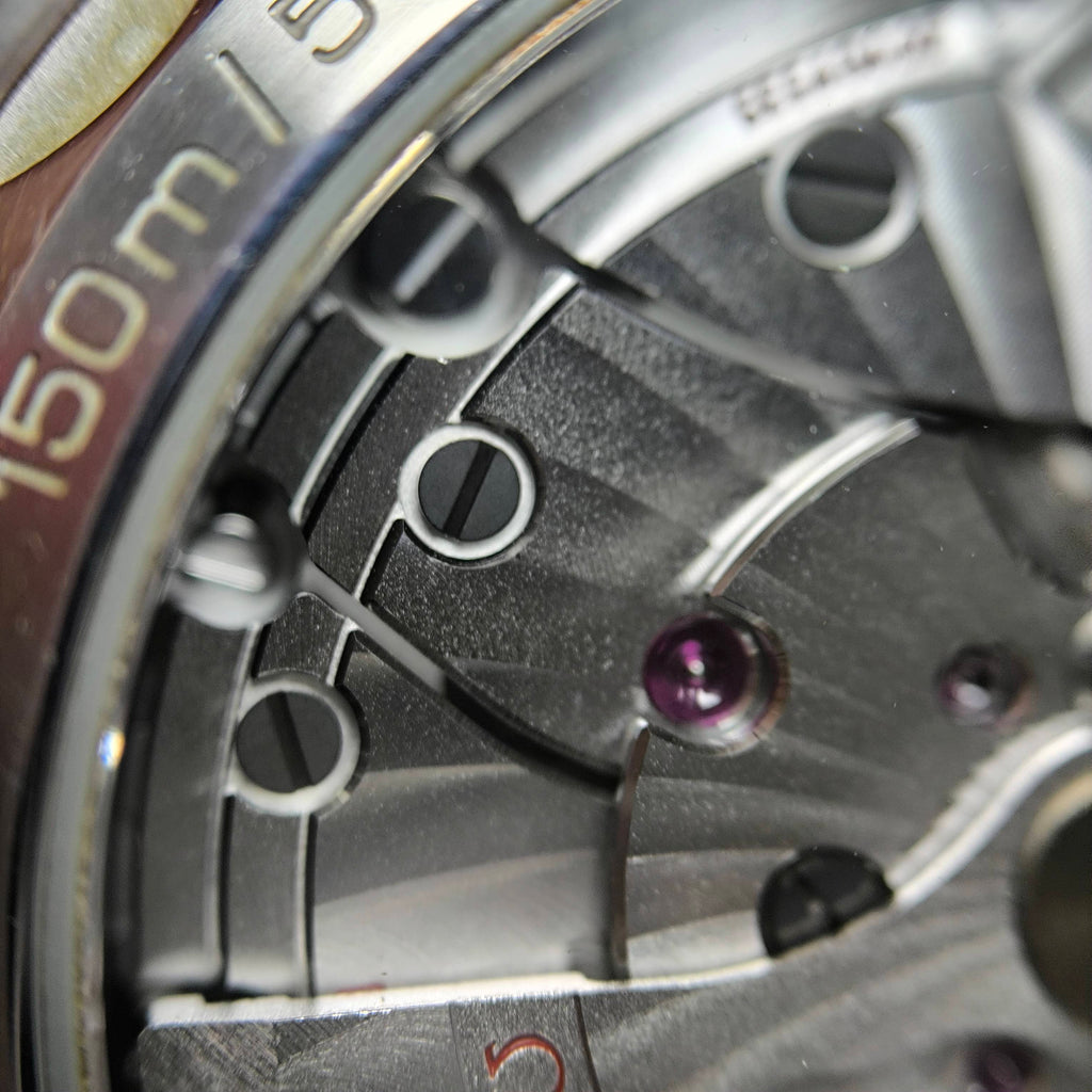 Omega Seahorse Series 41 220.10.41.21.03.001