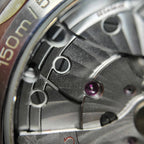 Omega Seahorse Series 41 220.10.41.21.03.001