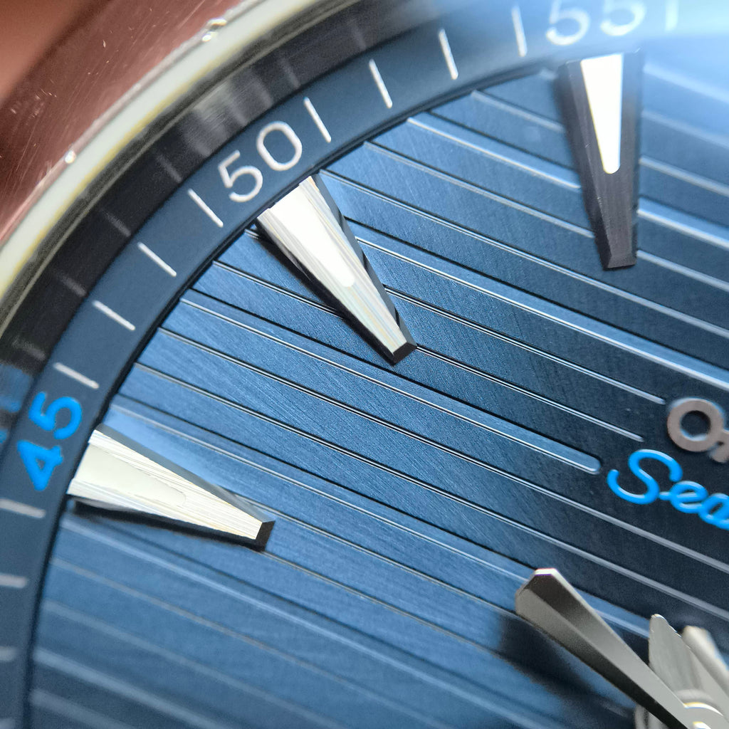 Omega Seahorse Series 41 220.10.41.21.03.001