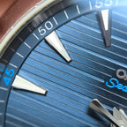 Omega Seahorse Series 41 220.10.41.21.03.001