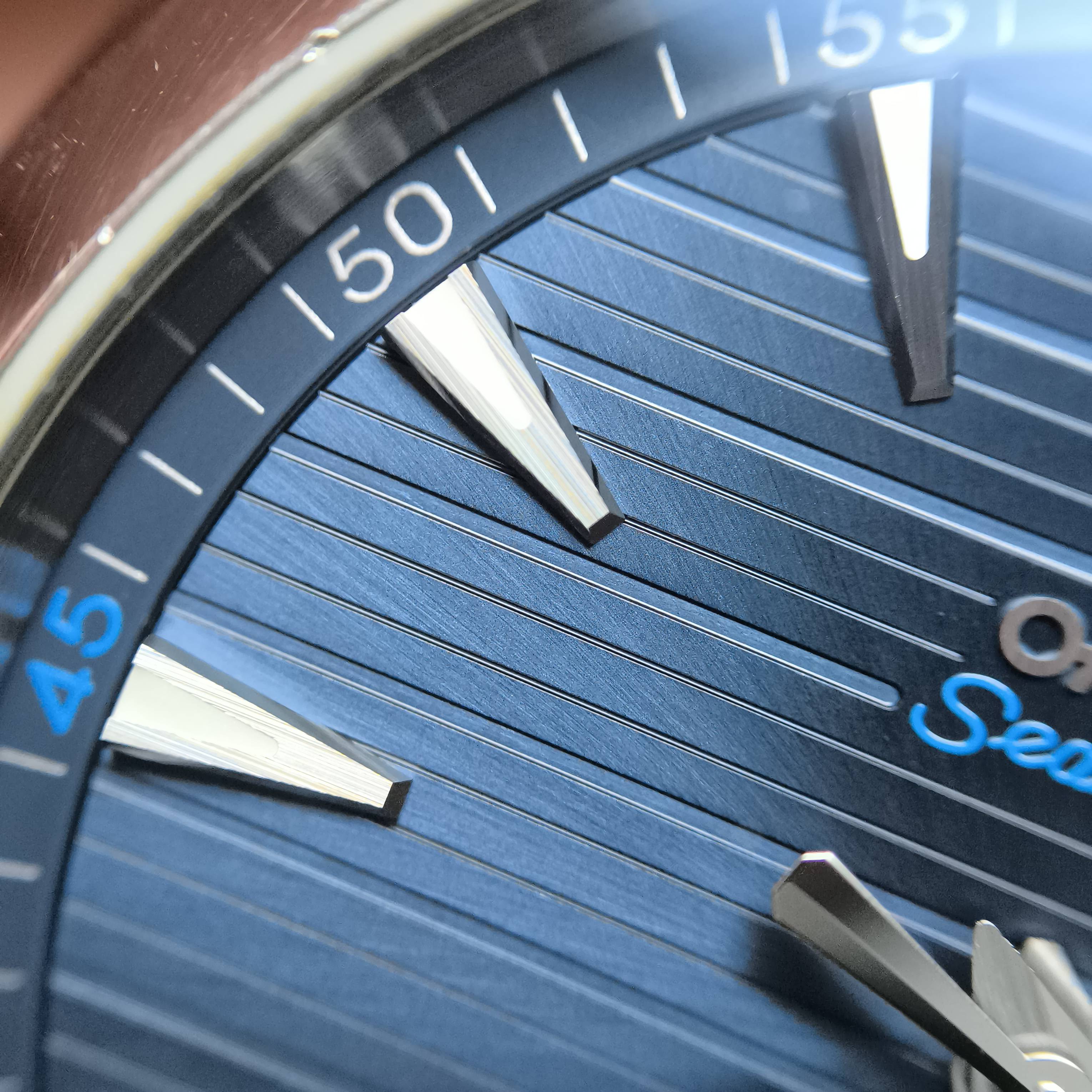 Omega Seahorse Series 41 220.10.41.21.03.001
