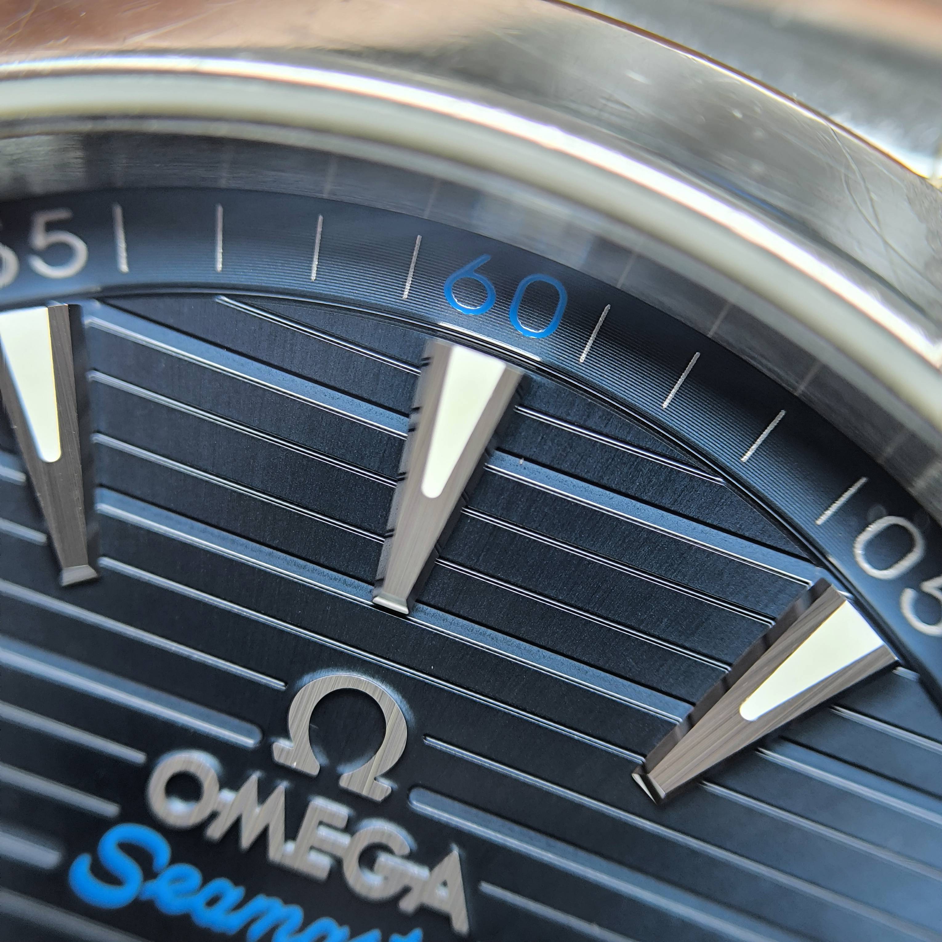 Omega Seahorse Series 41 220.10.41.21.03.001