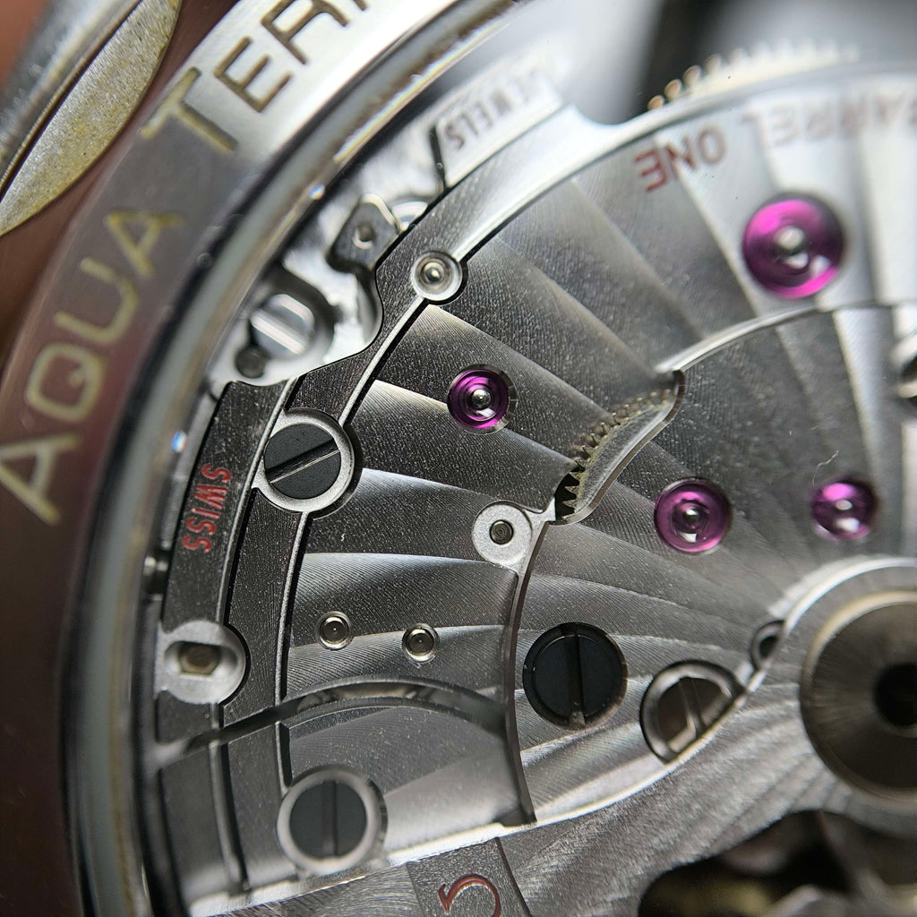 Omega Seahorse Series 41 220.10.41.21.03.001