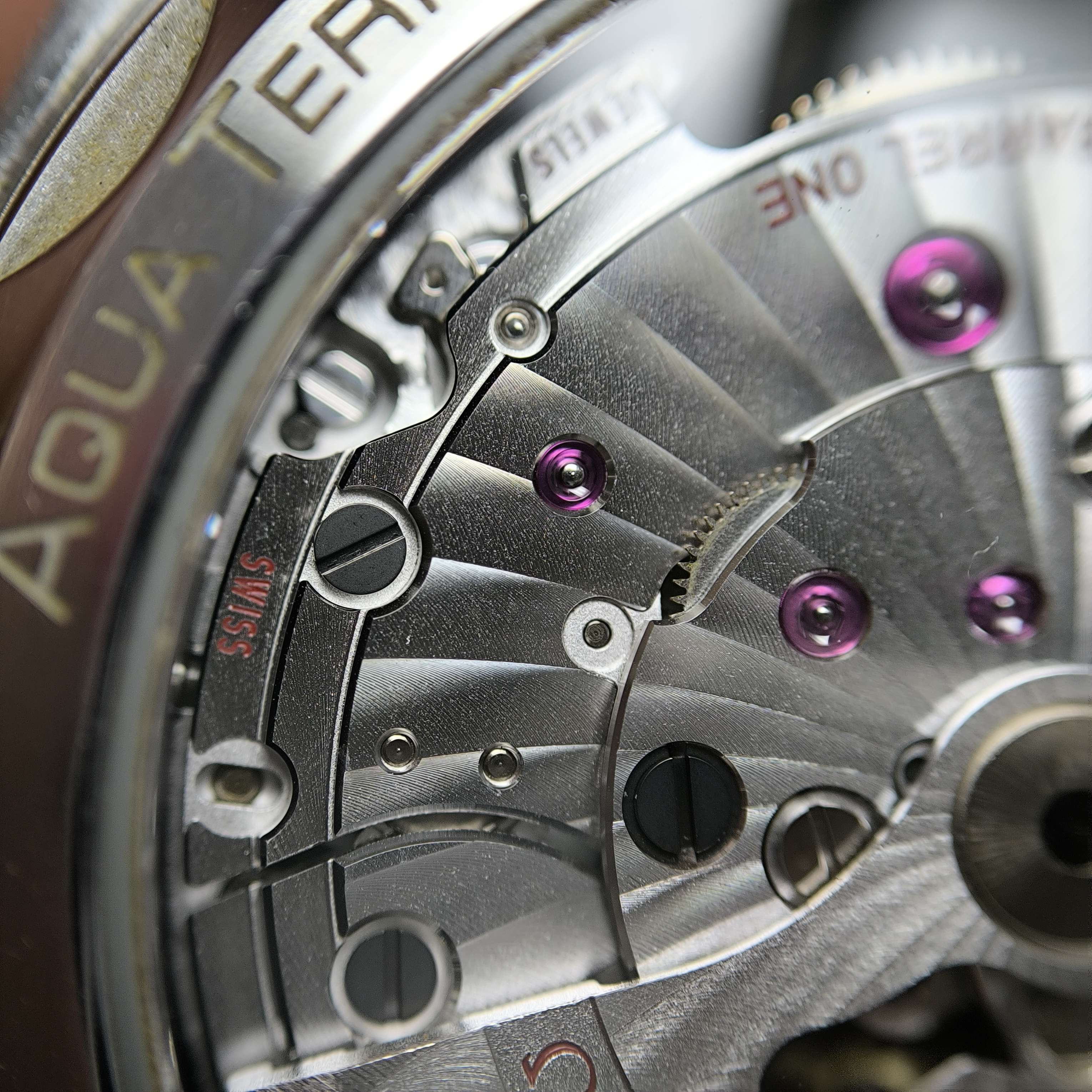 Omega Seahorse Series 41 220.10.41.21.03.001