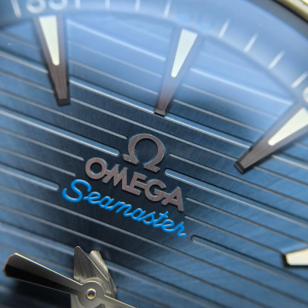 Omega Seahorse Series 41 220.10.41.21.03.001
