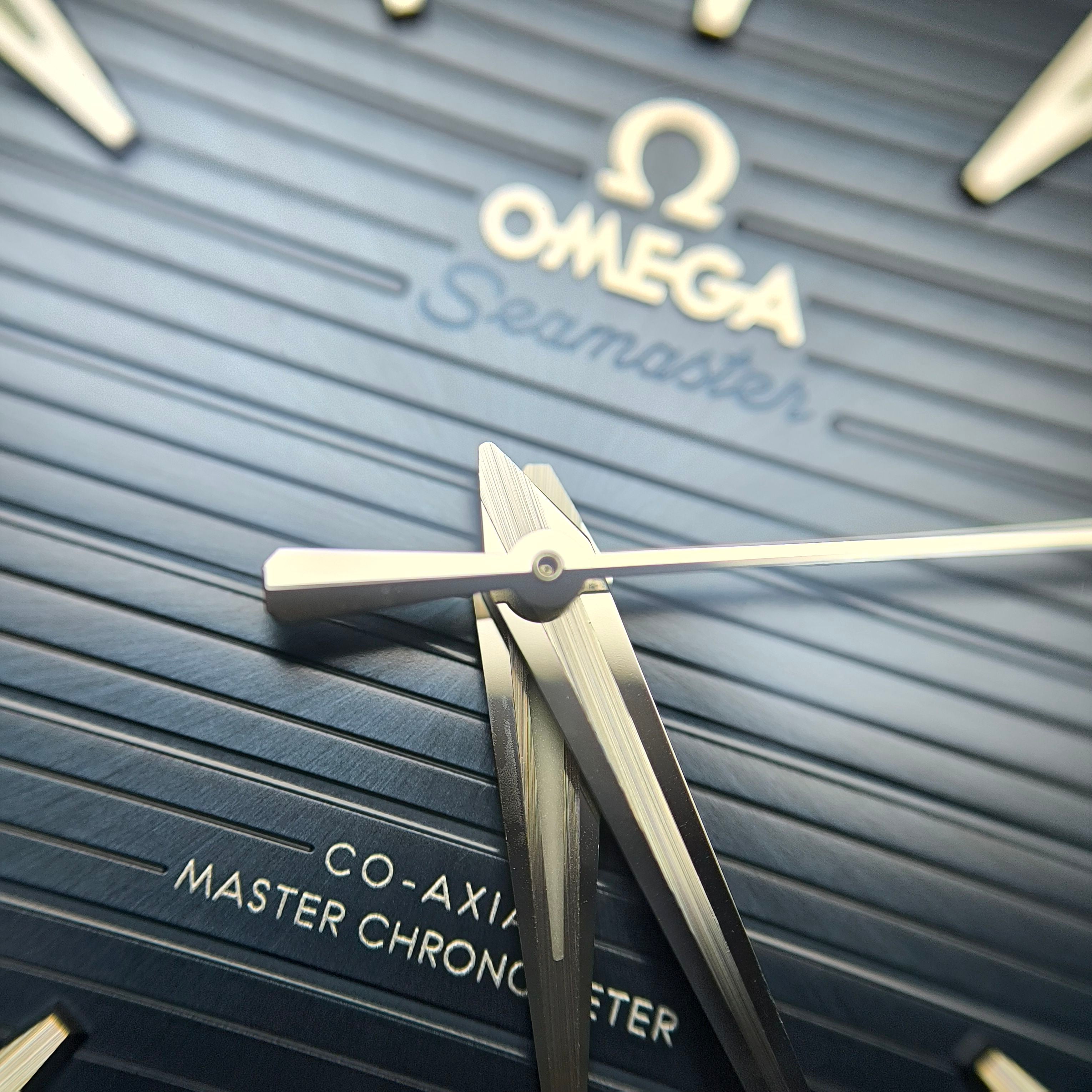 Omega Seahorse Series 41 220.10.41.21.03.001