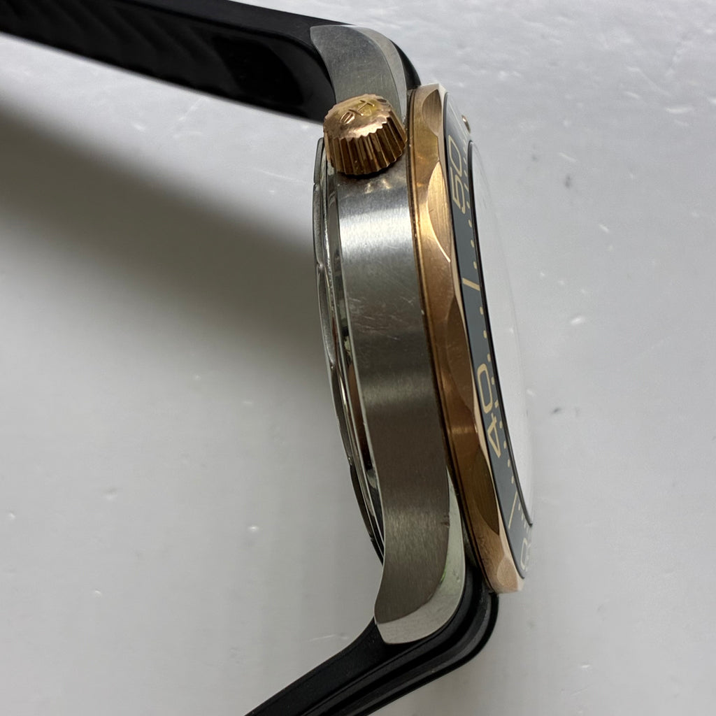 Omega Seahorse Series 42 210.22.42.20.01.002