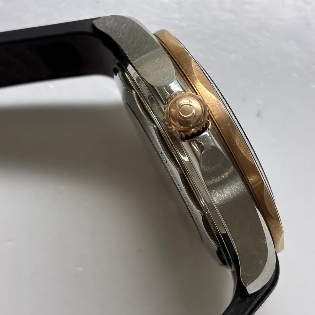 Omega Seahorse Series 42 210.22.42.20.01.002