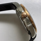 Omega Seahorse Series 42 210.22.42.20.01.002