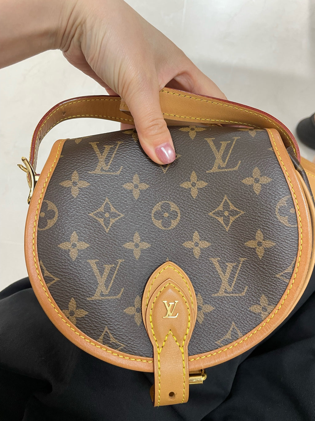 Louis Vuitton Saddle Bag