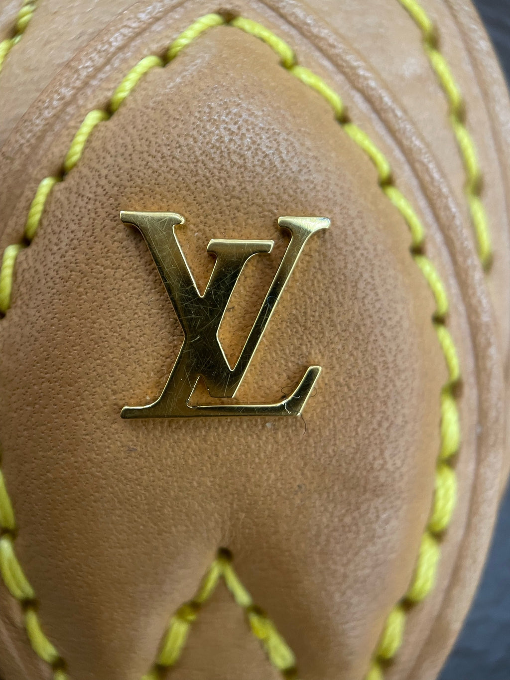 Louis Vuitton Saddle Bag