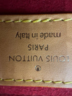 Louis Vuitton Saddle Bag