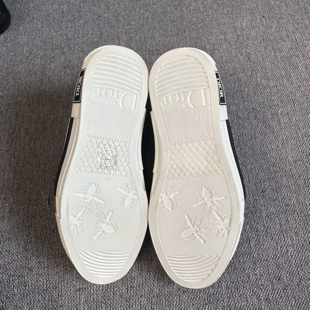 Dior Skate shoes