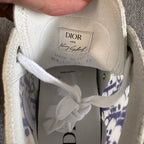 Dior Skate shoes