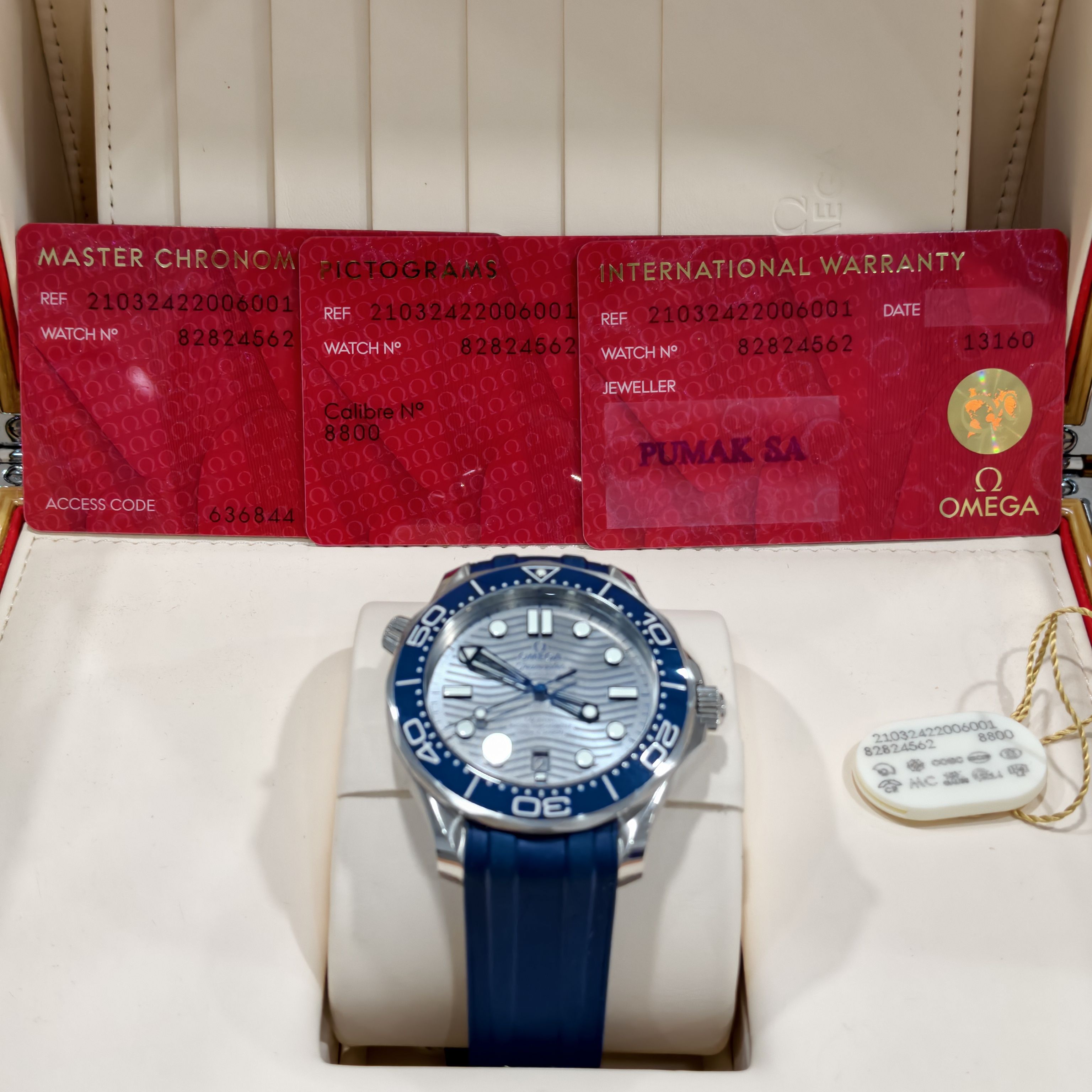 Omega Seahorse Series 42 210.32.42.20.06.001