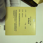 Louis Vuitton Clutch 11.5x 9.0x 1.5 cm M60895