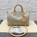 Louis Vuitton Gray