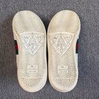 Audemars Piguet Skate shoes