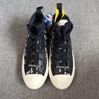 Dior Skate shoes
