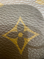 Louis Vuitton Sling Bag