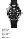 Omega Seahorse Series 42 210.32.42.20.01.001