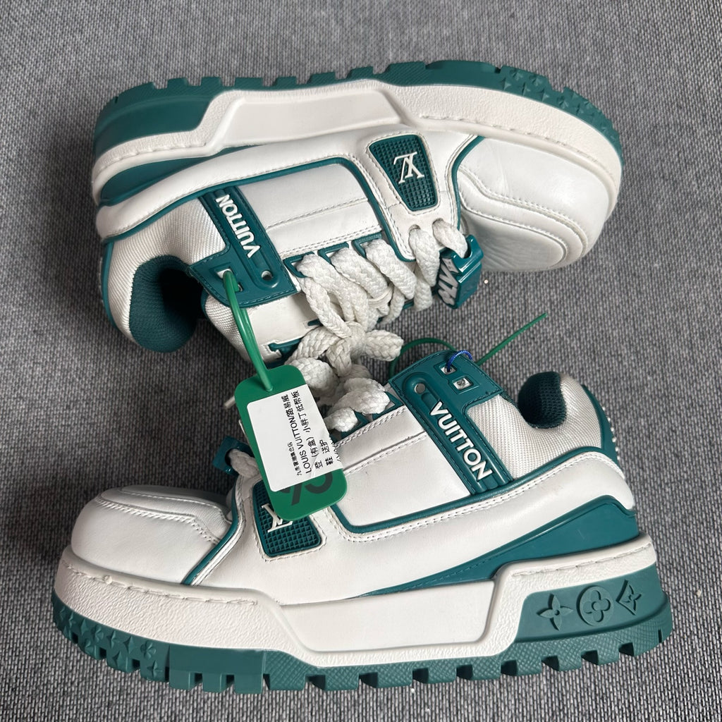 Louis Vuitton Skate shoes