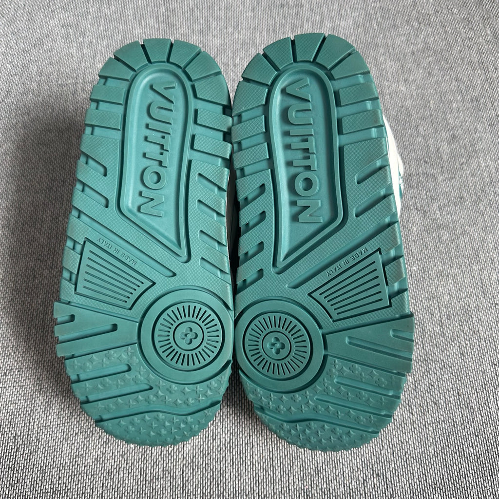 Louis Vuitton Skate shoes