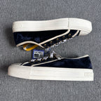 Dior Canvas