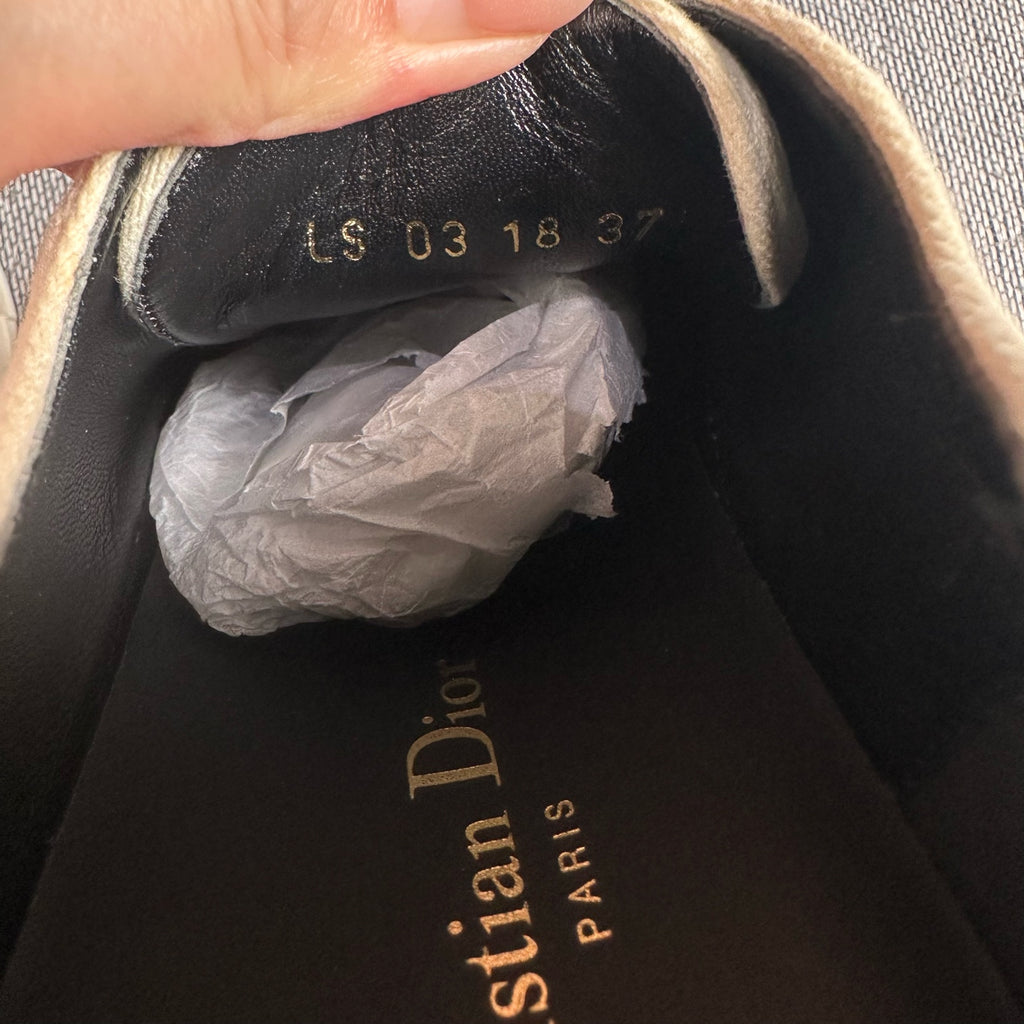 Dior Canvas