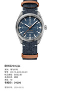 Omega Seahorse Series 40 220.12.40.20.03.001