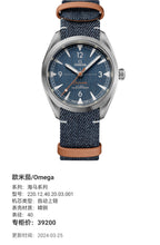 Omega Seahorse Series 40 220.12.40.20.03.001