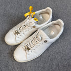 Louis Vuitton Skate shoes