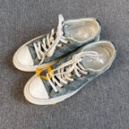 Louis Vuitton Canvas