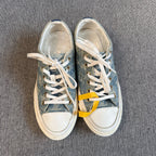Louis Vuitton Canvas
