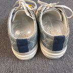 Louis Vuitton Canvas