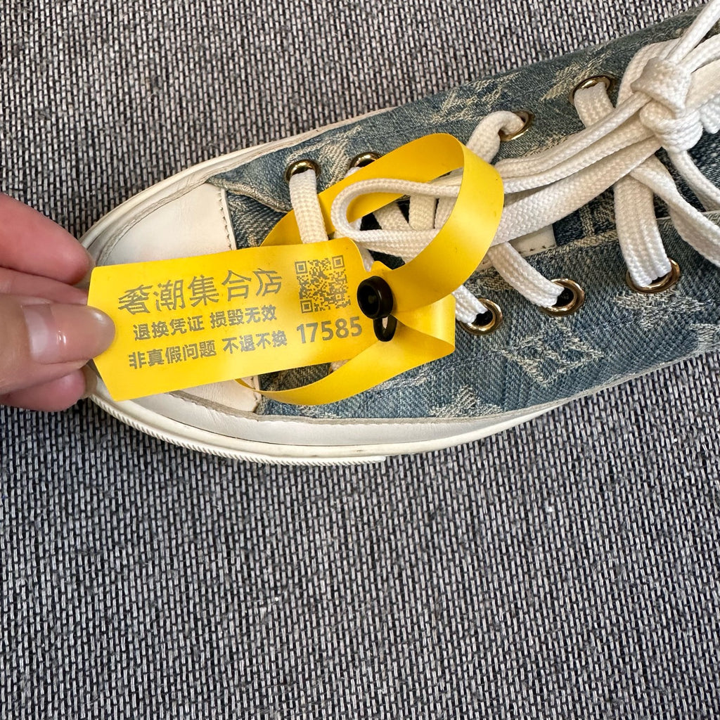 Louis Vuitton Canvas