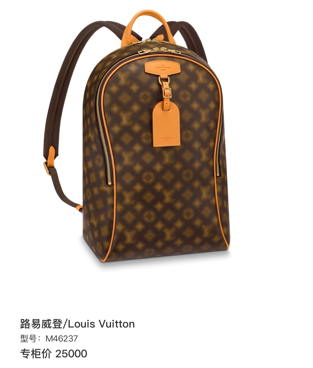 Louis Vuitton M46237