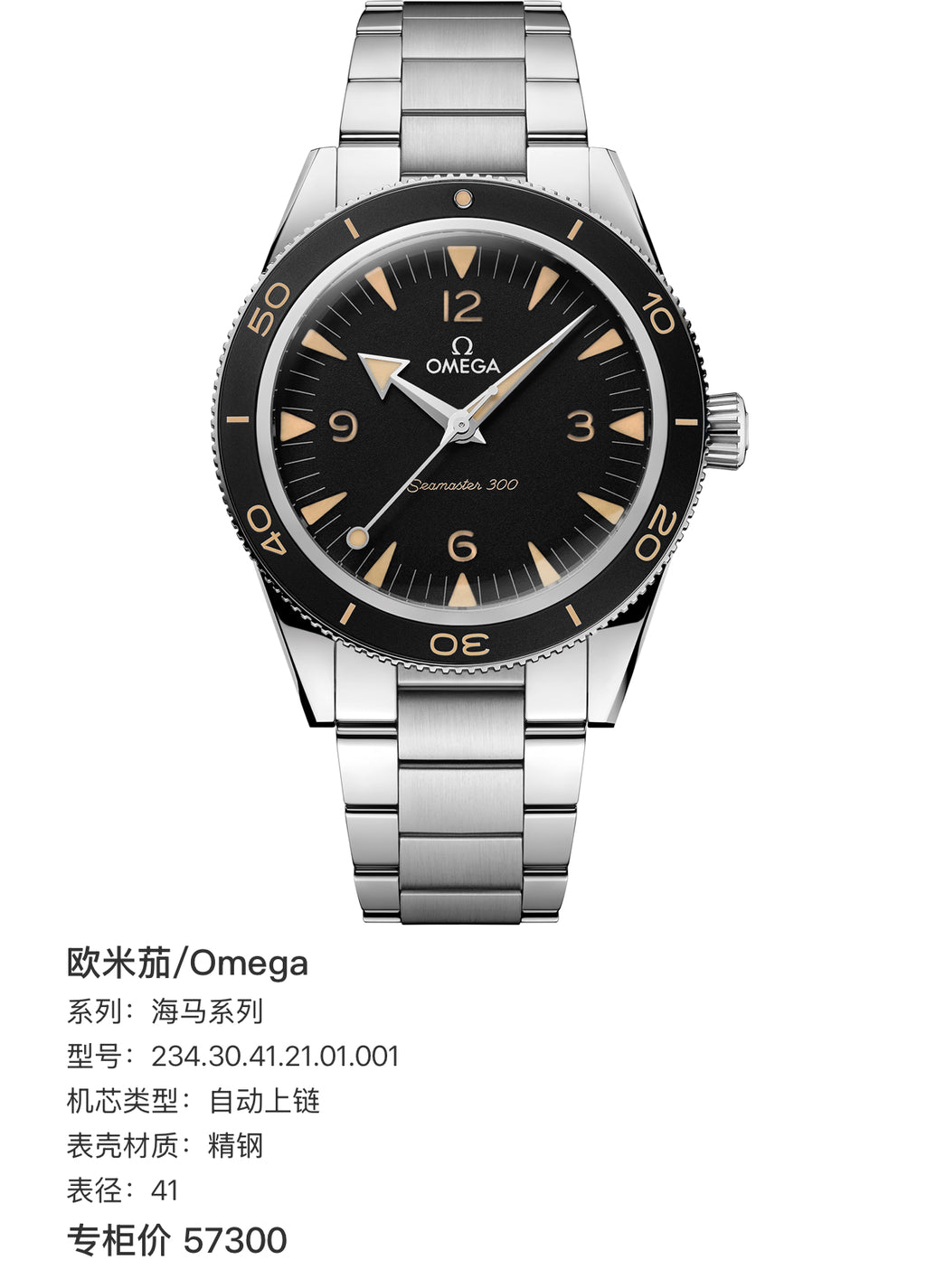 Omega Seahorse Series 41 234.30.41.21.01.001