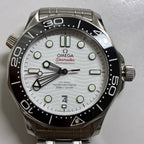 Omega Seahorse Series 42 210.30.42.20.04.001