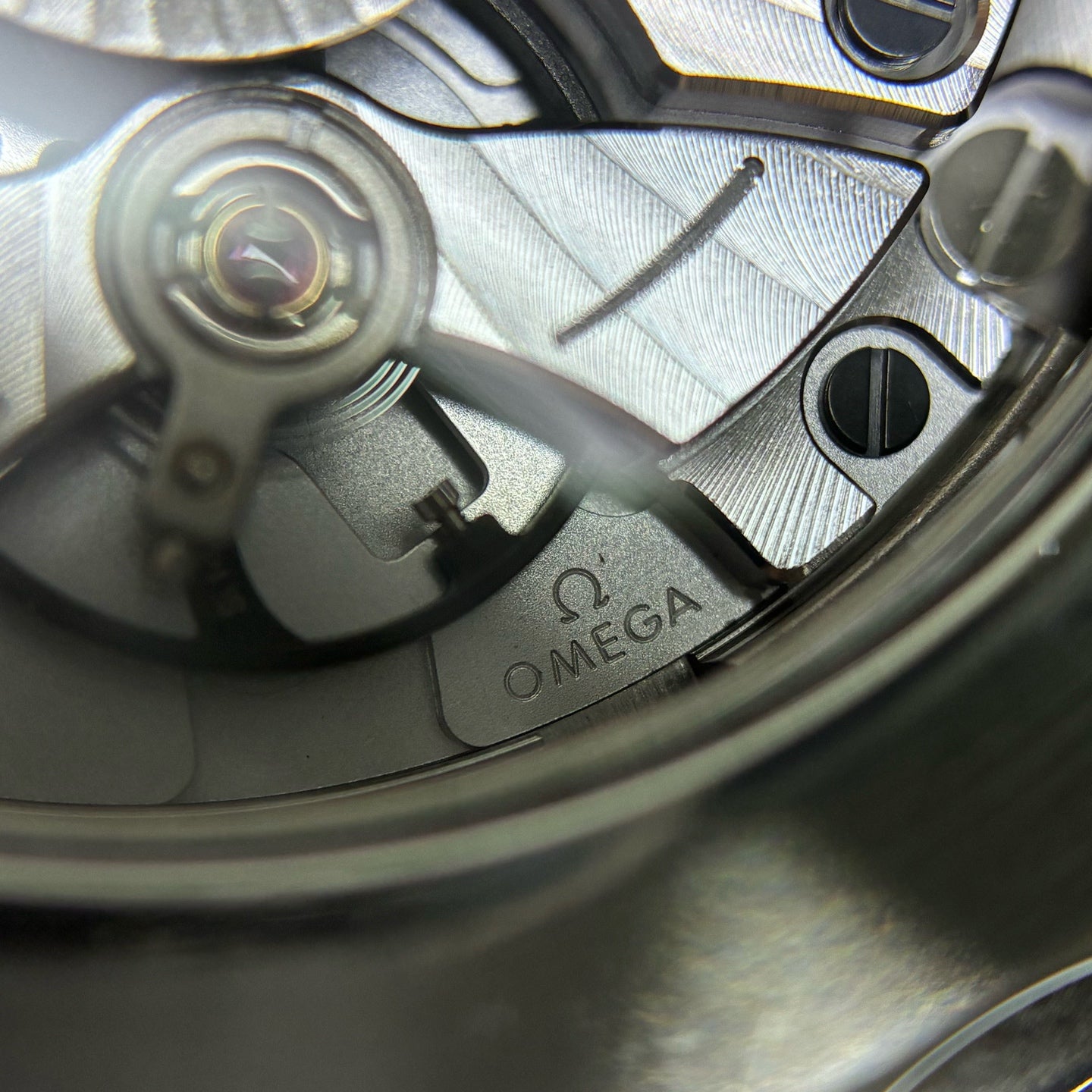 Omega Seahorse Series 42 210.30.42.20.04.001