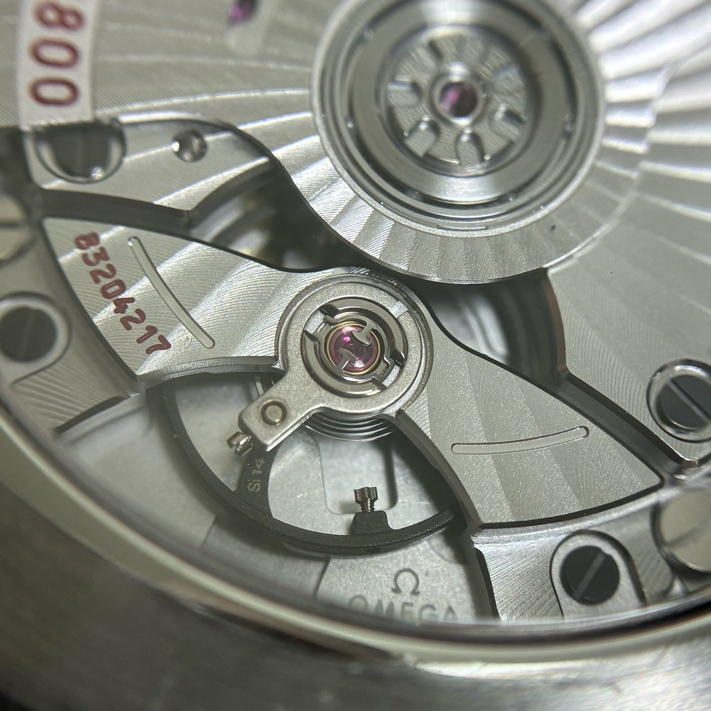Omega Seahorse Series 42 210.30.42.20.04.001