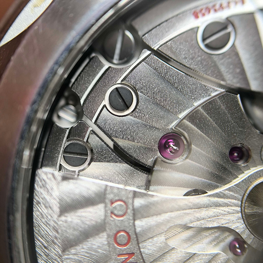Omega Seahorse Series 41 234.30.41.21.01.001