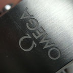 Omega Seahorse Series 41 234.30.41.21.01.001