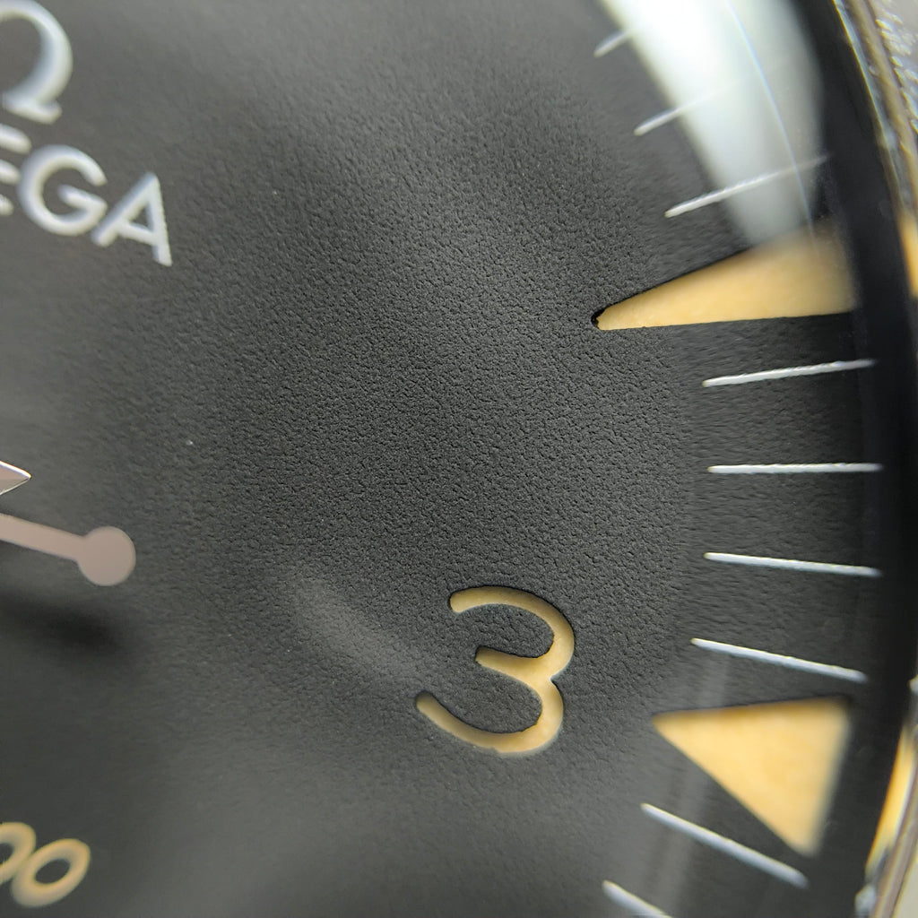 Omega Seahorse Series 41 234.30.41.21.01.001